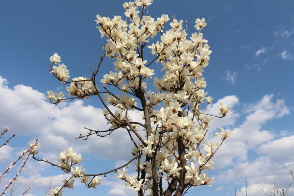 �������^���_(d��)�@