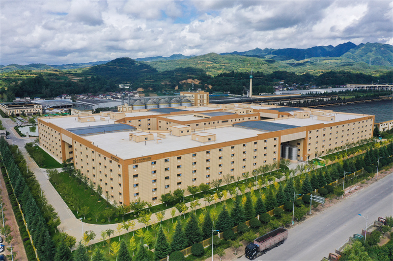 ��վ����a(ch��n)���C���������܂}(c��ng)�A����